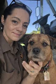 A big yea if a Border terrier dog is part of your family