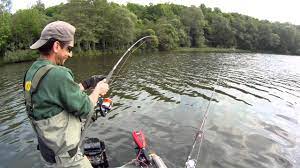 Cette technique mondiale est une des plus pratiquée car elle permet de pêcher un grand nombre d'espèces. Peche Au Silure Au Vif En Barque Youtube