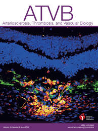 Adenosine-ADORA2A Promotes Ang-Induced Angiogenesis in Intrauterine Growth  Restriction Placenta via the Stat3Akt Pathway | Arteriosclerosis,  Thrombosis, and Vascular Biology