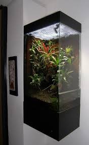 Click The Image To Open In Full Size Vivarium Reptile Habitat Reptile Terrarium