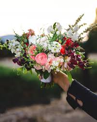 Maybe you would like to learn more about one of these? Sierra Flower Farm