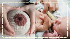 Image result for Haumaniastrum prealtum