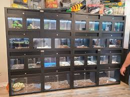 Reptile Display Reptiles Pet Store Ideas Pet Store