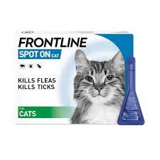 Check spelling or type a new query. Understanding How Flea Collars Work For Cats Flea Tick Treatment Cat Flea Tick Wormers Cat Medicanimal Com