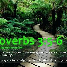 Chichewa contemporary bible completed after years of overcoming hurdles. Flowers Bible Verse Wallpaper Kjv Latest Bible Verses Ultimate Wallpapers For Mobile 800x800 Wallpaper Teahub Io