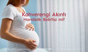 vajinadan kahverengi akinti gelmesi hamilelik belirtisi mi bilgi ajansi