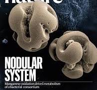 Covers | Nature research figure guide