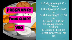 pregnancy food chart india indian pregnancy diet chart