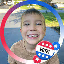 Hard working squirrel builds a nest Partner: My Backyard Friends