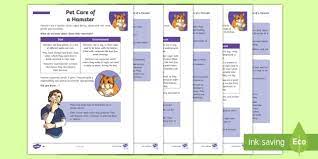 Hamsters have thick silky fur, short tails, small ears, short legs, wide feet and large eyes. Ks2 Pet Care Of A Hamster Differentiated Fact File