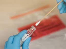 The two main branches detect either the presence of the virus or of antibodies produced in response. Rapid Covid 19 Test Granted Eu Approval News Cordis European Commission