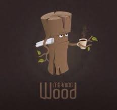 Morning Wood Morning Wood Funny Pictures Morning Humor