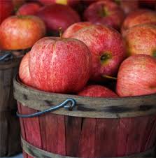 Linea Zacatlan Autenticas Bebidas De Manzana