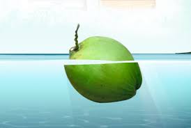 I have tried many different brands of coconut water and all of them taste like camel piss. Is Coconut Water Just A Passing Fad