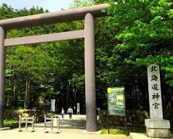 北海道神宮の鳥居と緑の画像