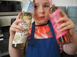 Ginny Moon by Benjamin Ludwig