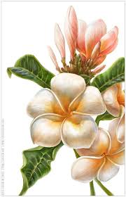 Plants By Irina Vinnik Via Behance Botanical Painting Flower Painting Tropical Illustration