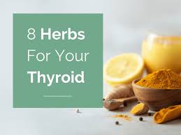 My mom had really fine thin hair. 8 Herbs For Your Thyroid Weight Gain Fatigue Hair Loss Dry Skin