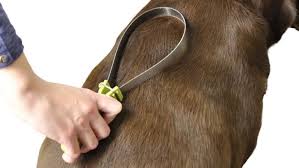 We've learned to live with it, after all, it's part and parcel of owning a pet but from an there are two possible options: 18 Products That Actually Remove Pet Hair