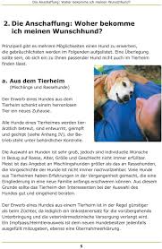 Dhd24 ist eines der führenden kleinanzeigenportale deutschlands. Augen Auf Beim Hundekauf Worauf Sie Bei Der Anschaffung Eines Hundes Achten Sollten Pdf Kostenfreier Download