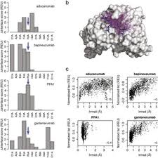 Aducanumab is a recombinant human monoclonal antibody (mab) that binds primarily to aggregated forms of aβ fda likely to approve biogen's aducanumab for alzheimer's disease after its review. Pdf Structural And Kinetic Basis For The Selectivity Of Aducanumab For Aggregated Forms Of Amyloid B