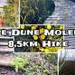 Cape Dune Molerat 8,5km Hike event image
