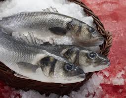 Zum brate von fisch, fleisch und gemüse. Wolfsbarsch Beliebter Mittelmeerfisch Deutsche See