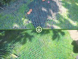 Grass seed netting protects the seeds by preventing birds and other animals from eating them. Two Dog Inspired Grass Protection Mesh Case Studies Blogs From Matsgrids