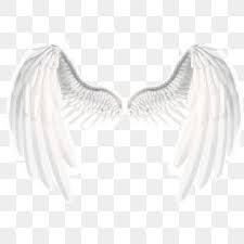 Pngtree provides millions of free png, vectors, clipart images and psd graphic resources for designers.| Rede Dados Globo Branco Terra Forma Branco Dados Terra Imagem Png E Psd Para Download Gratuito Wings Png Angel Wings Png Cartoon Angel Wings
