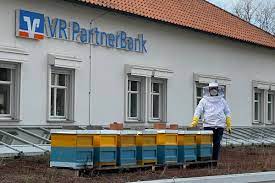 Die vertreterversammlung vom 30.05.2017 hat die änderung der satzung in den §§ 1 (firma und sitz) und mit ihr die sitzverlegung nach melsungen, 2 (zweck und gegenstand), 6 (übertragung des geschäftsguthabens), 11 (rechte der mitglieder), 15 (vertretung), 16 (aufgaben. Vr Partnerbienen Vr Partnerbank Eg Chattengau Schwalm Eder