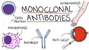 Jan 13, 2021 · dr. How Do Monoclonal Antibodies Work Rituximab Infliximab Adalimumab And Others Youtube