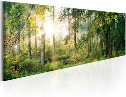 Jairo camargo murio / rk2qkit nckc6m : Leinwand Bild Wald Natur Baum Landschaft Sonne Wandbilder Xxl Akustikbild Vintage Nautical Home Decor Posters Prints Home Garden