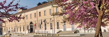 Liceo Zucchi