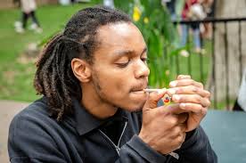 The Real Star of Outside Lands 2019: Grass Lands