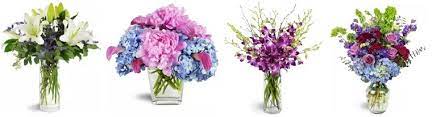 Maybe you would like to learn more about one of these? 8 Best Flower Delivery In Mount Pleasant Sc Flower Delivery Reviews