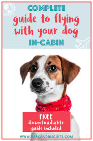 How to fly with a dog in cabin. How To Fly With Your Dog In Cabin Bark And Biscuits Flying Dog Dog Training Classes Dogs On Planes