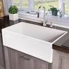 The kitchen sink is white, sharp, stylish, and has a convenient double bowl design. 1