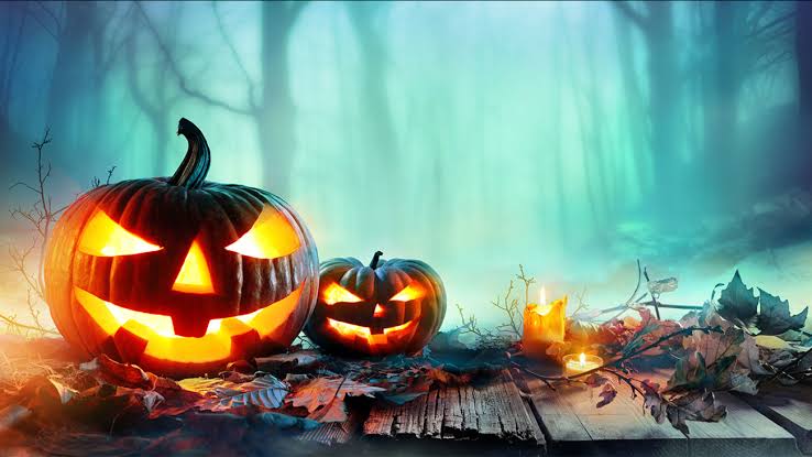 Image result for halloween"