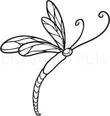 Draw a pair of eyeballs first. How To Draw A Dragonfly Tattoo Step By Step Drawing Guide By Dawn Dragoart Com