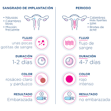 Todo Lo Que Debes Saber Sobre El Sangrado De Implantacion Clearblue