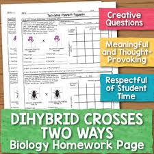 Pin By Teachers Pay Teachers On Classroom Ideas Homework Worksheets Dihybrid Cross Biology