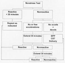 Image result for Non-Stress Test