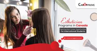 Master’s program in medical aesthetics. Esthetician Programs In Canada For International Students Study Abroad