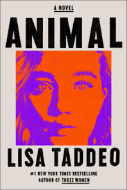 Four Debut Authors Share Their Publishing Journey, Writing Advice, and More 