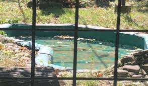 In vremea domnitorilor fanarioti manastirea radu voda devine una dintre cele mai bogate manastiri ale tarii. Marea DezamÄgire La De Zoo BÄneasa GrÄdina ZoologicÄ BucureÈti