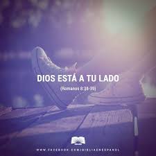 Resultado De Imagen Para Imagenes Cristianas Tumblr Frases Biblicas De Animo Biblia En Espanol Frases Biblicas De Aliento