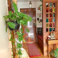 Some Colors And Plants Is What We Need Mygreentreasure Myhomevibes My Kindofplac Chandelier In Living Room Indian Living Rooms India Home Decor