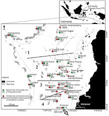 Frontiers Small Scale Genetic Population Structure Of