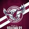 Manly warringah sea eagles coach des hasler has named his squad to take on the sydney roosters this saturday at the scg. Https Encrypted Tbn0 Gstatic Com Images Q Tbn And9gcr7xd9mdjd N 5nq9d Bgkkxggdwy79uum6r9chqqjzapdeskgr Usqp Cau