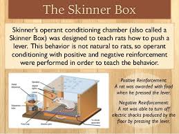 The Skinner Box In 2020 Operant Conditioning Skinner Box Constructivist Learning Theory